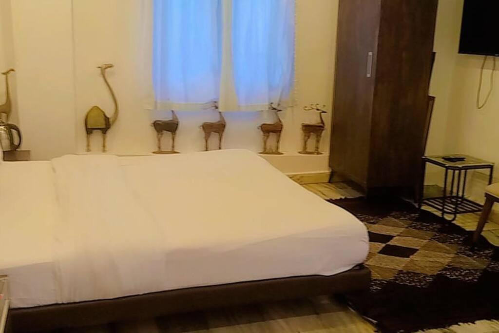 Valley Nest For 6-12 Pax Mount Abu Luaran gambar